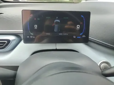 BYD Seagull