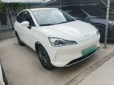NETA Neta V