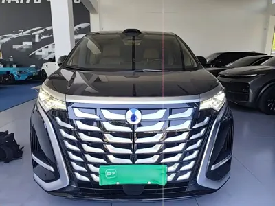 Denza Denza D9