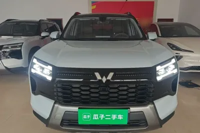Wuling Starlight 560