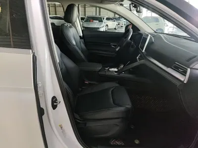 BYD Pro