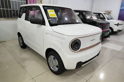 Geely Galaxy Panda