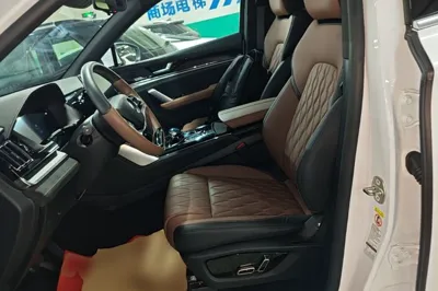 BYD Tang New Energy