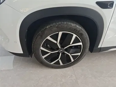 BYD L DM-i