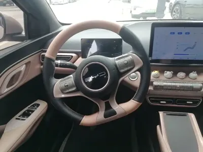 BYD Seagull