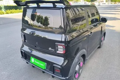 Geely Galaxy Panda