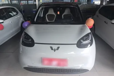Wuling Bingo