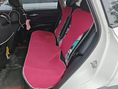 NETA Neta V