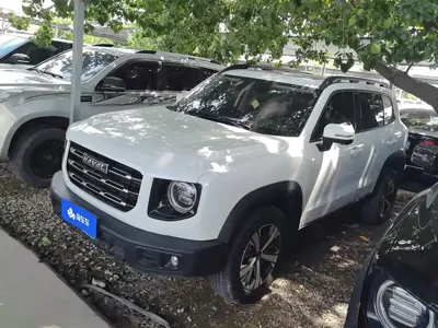 Haval Big Dog