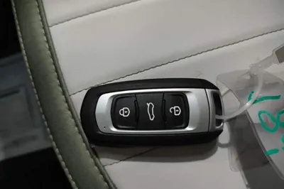 Geely Galaxy Panda