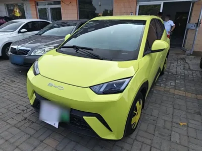 BYD Seagull
