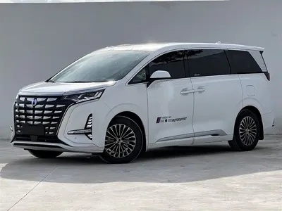 Denza Denza D9