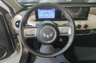 Wuling Bingo