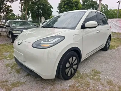 Wuling Bingo