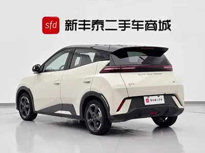 BYD Seagull