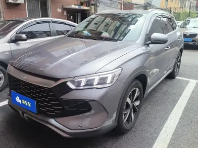 BYD Pro New Energy