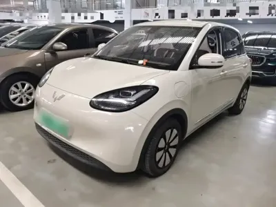 Wuling Bingo