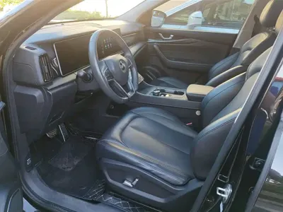 WM Motor W6