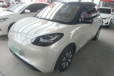 Wuling Bingo