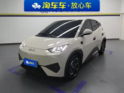 BYD Seagull