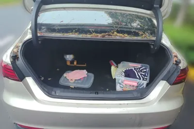 Geely Auto Binray