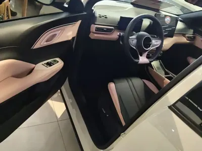 BYD Seagull