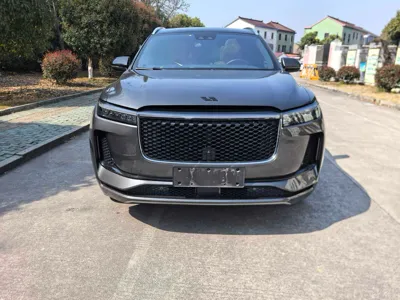 Li Auto ONE