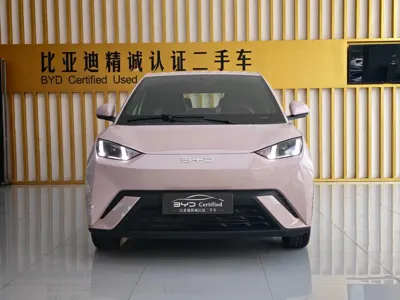 BYD Seagull