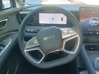 BYD 海狮06