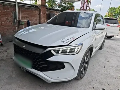 BYD Pro New Energy
