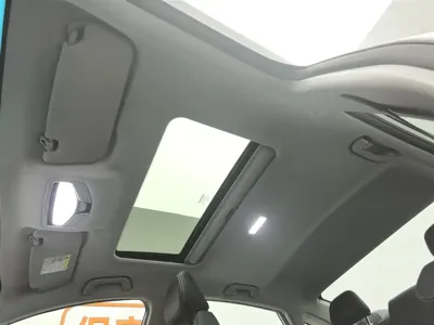 Geely Binrui