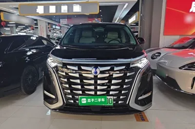 Denza D9