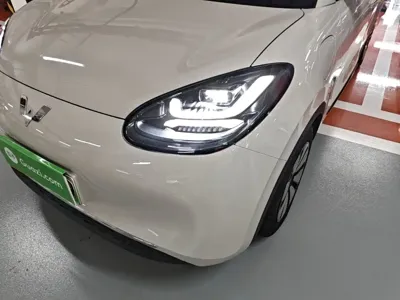Wuling Bingo