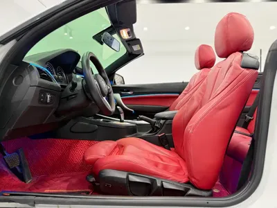 BMW 2 Series (Import)