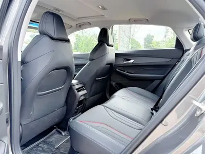 Geely Binrui