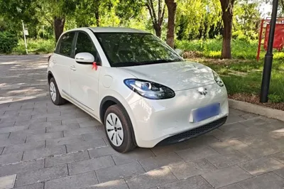 Wuling Bingo