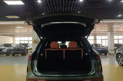 BYD Tang L