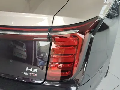 Hongqi Hongqi H9