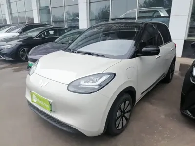 Wuling Bingo