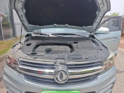 Fengguang Fengguang S560