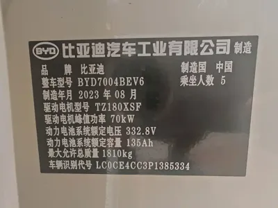 BYD Dolphin