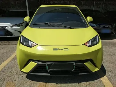 BYD Seagull