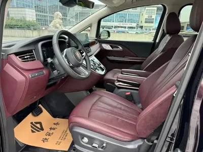 Hongqi Hongqi HQ9