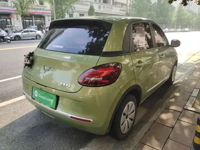 Wuling Bingo