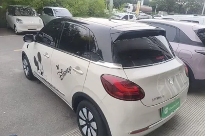 Wuling Bingo