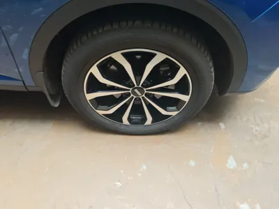 WEY VV6