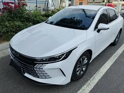 BYD Destroyer 05