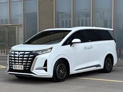 Denza Denza D9