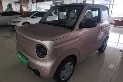 Geely Galaxy Panda