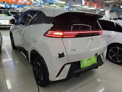 BYD Seagull